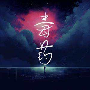 毒药 (DJ版)